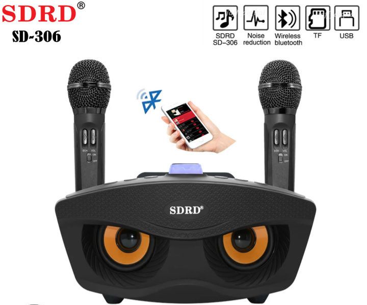 SD 306 Karaoke Speaker